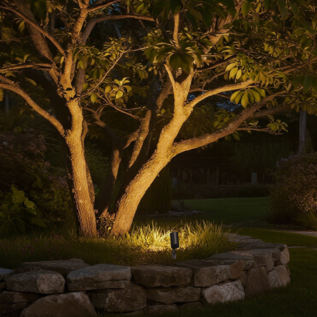 Mature garden tree uplit from below beside a low stone wall at night, its branches glowing warm gold