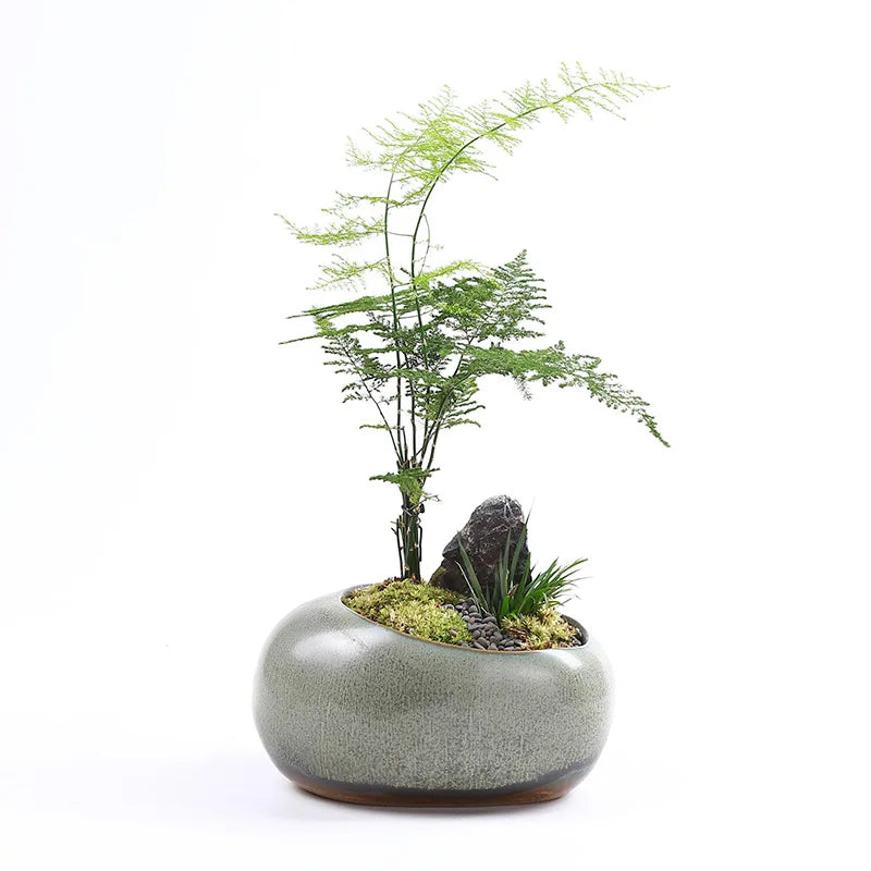 Retro Ceramic Succulent Pot