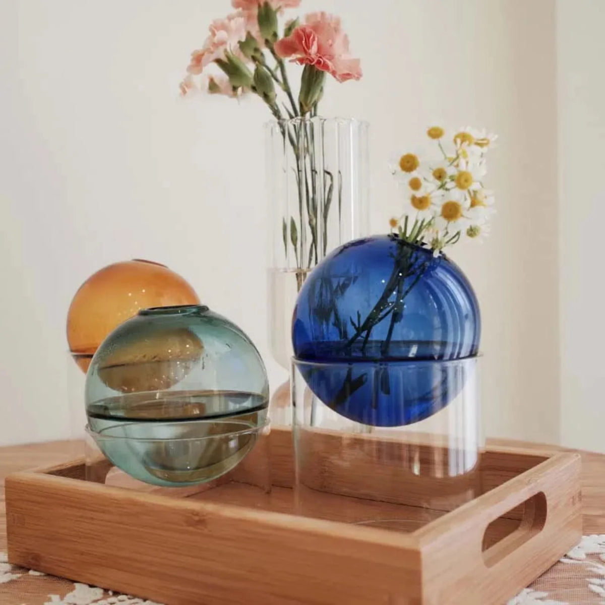 Round Borosilicate Glass Bud Vase, Colored Hydroponic Vase