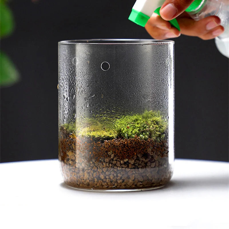Glass Terrarium Bottle Vase