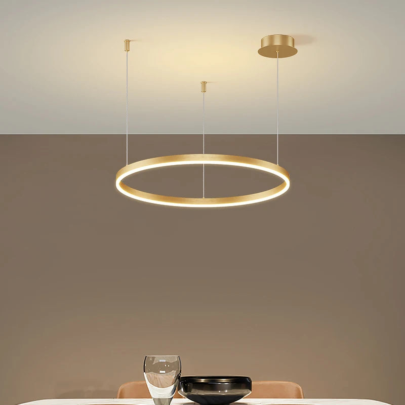 Modern Circular Ring LED Chandelier