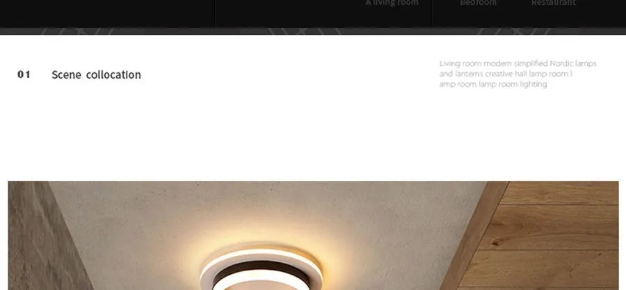 Acrylic Corridor Surface Ceiling Light