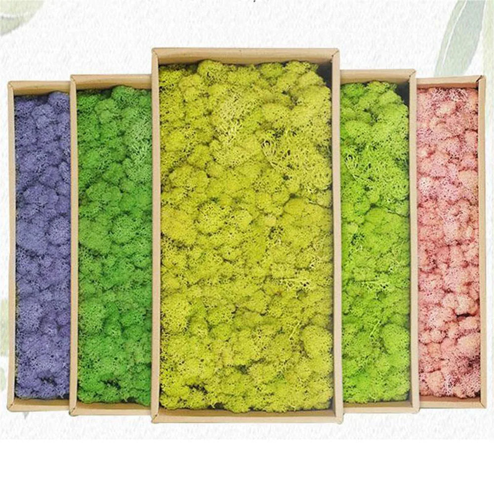 200g Artificial Green Plants Mini Landscape Eternal Life Moss