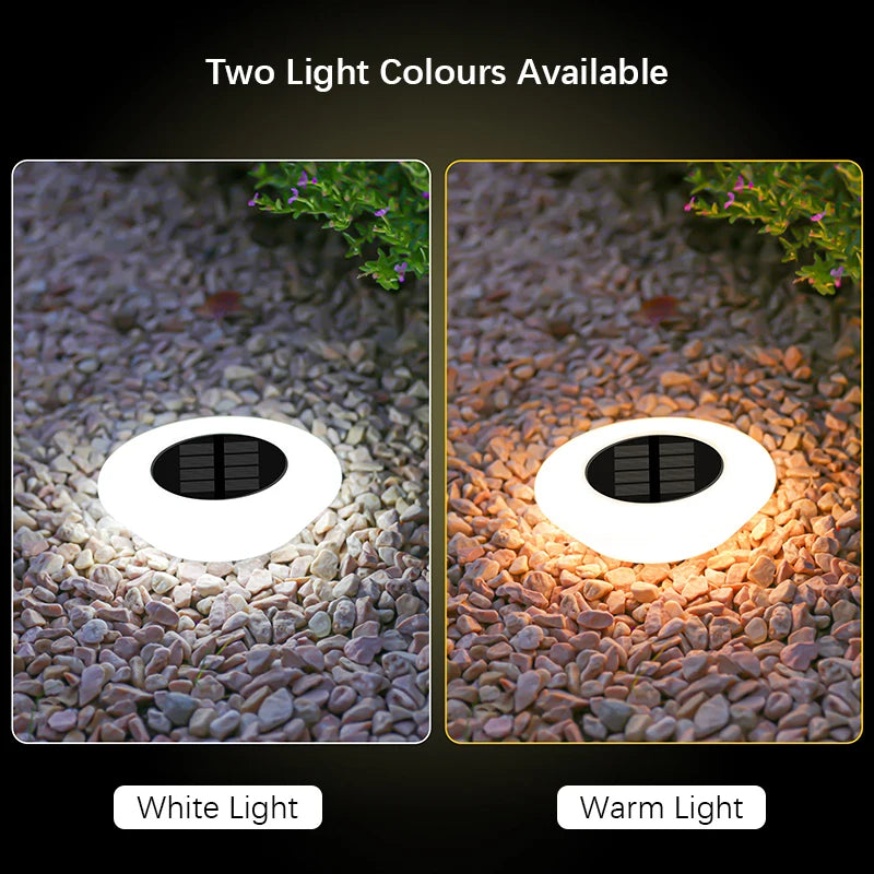 Solar Disk Pathway Lights