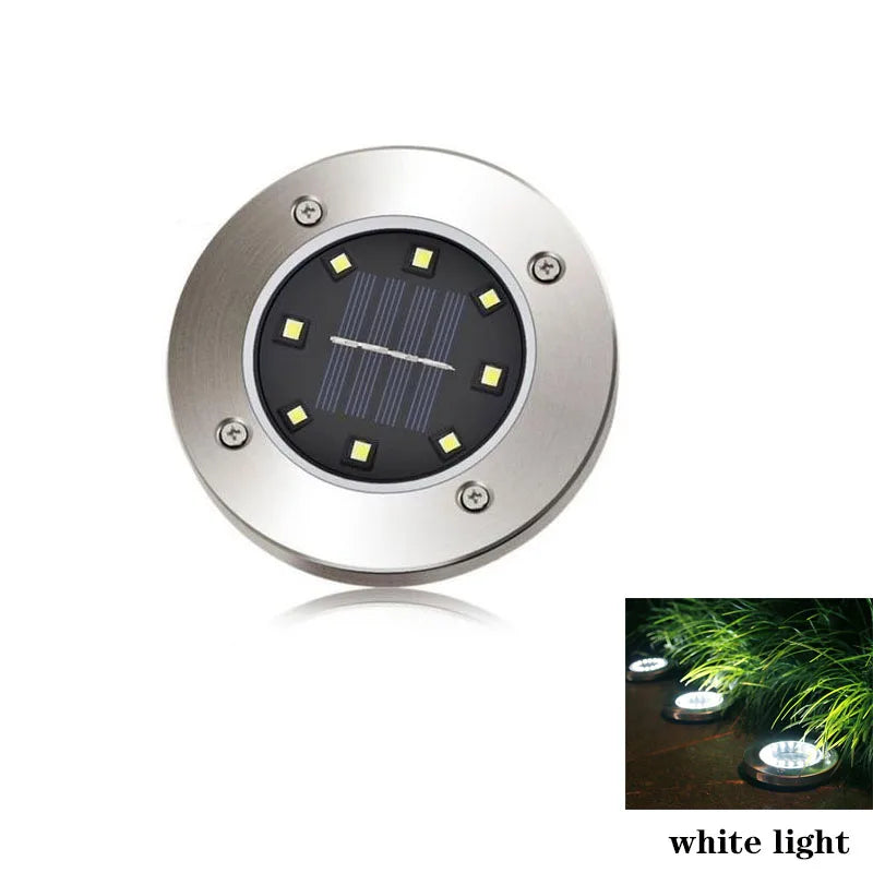 Solar In Ground Spotlight
