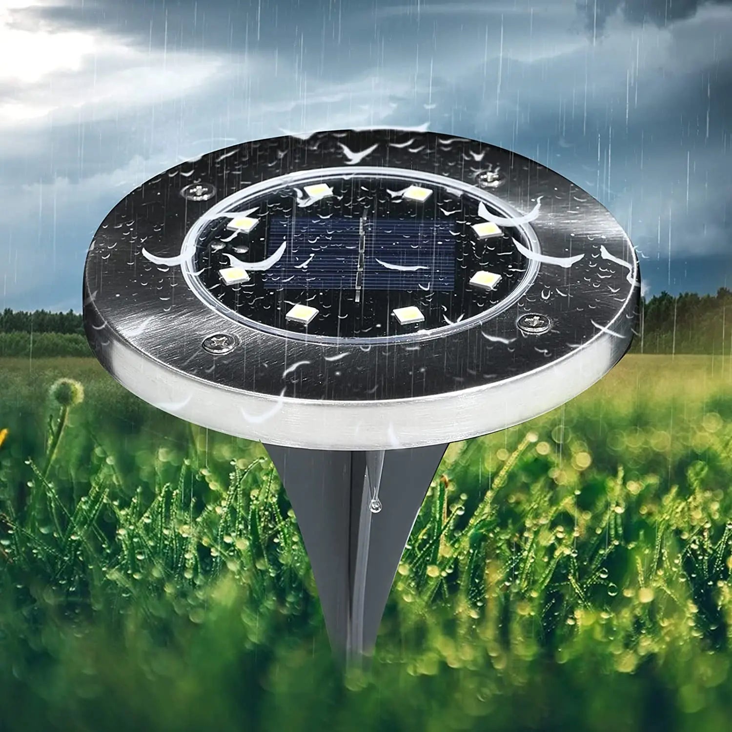 Solar In Ground Spotlight
