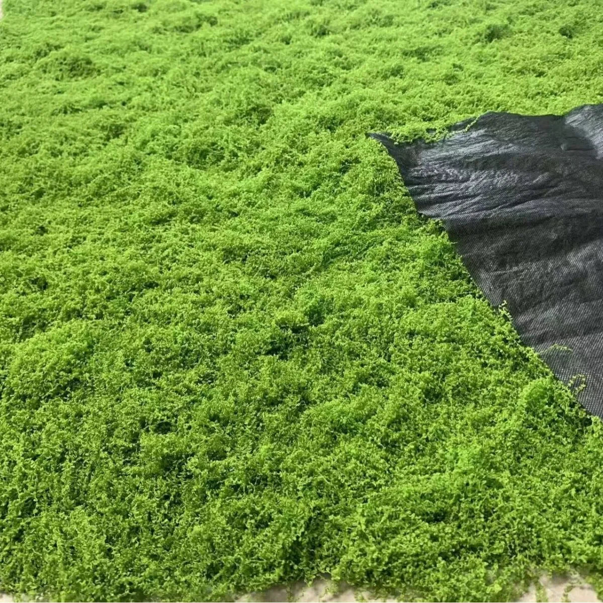 Artificial Preserved Moss Mat