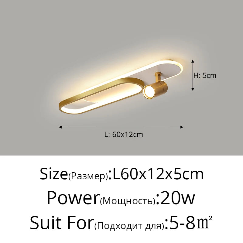 Ceiling Light with Adjustable Spotlights