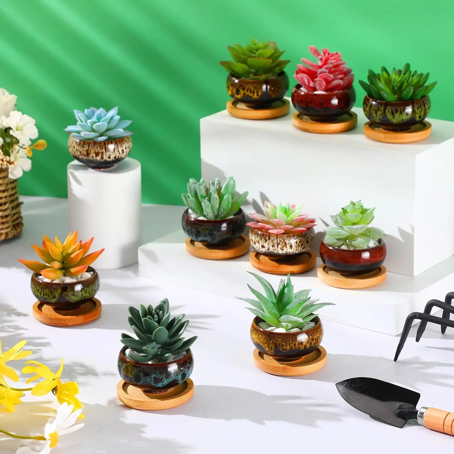 Mini Ceramic Bonsai Pots Set of 6