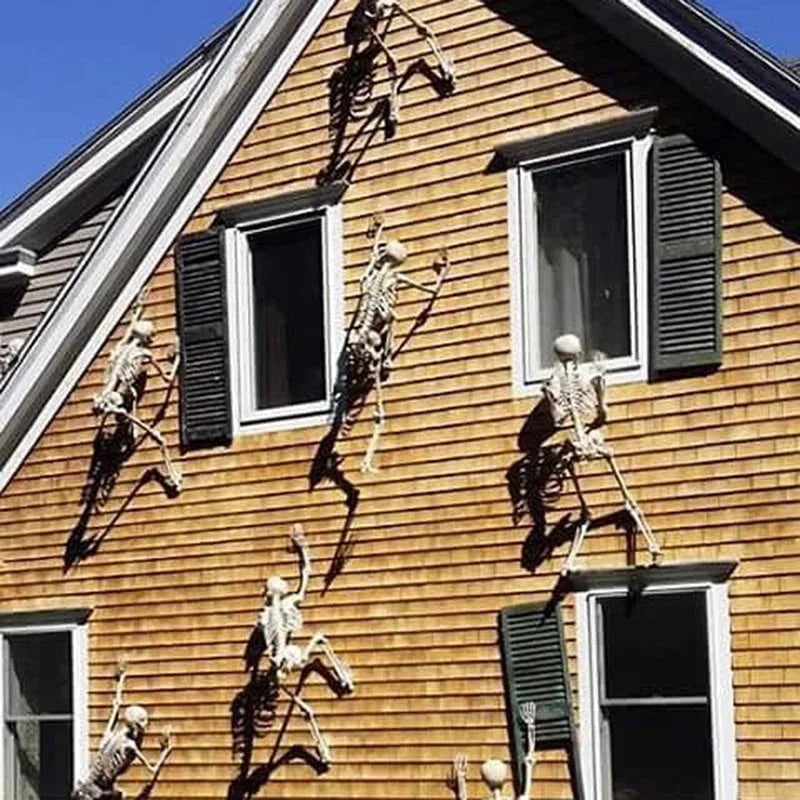 Posable Skeleton Prop, 16 inch