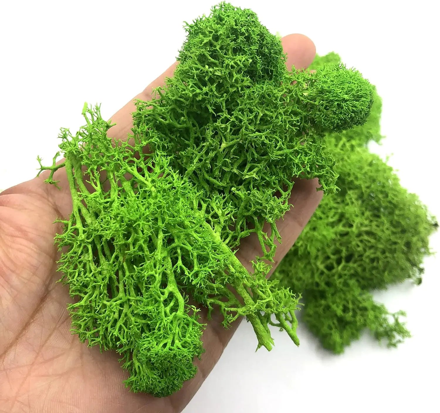 200g Artificial Green Plants Mini Landscape Eternal Life Moss