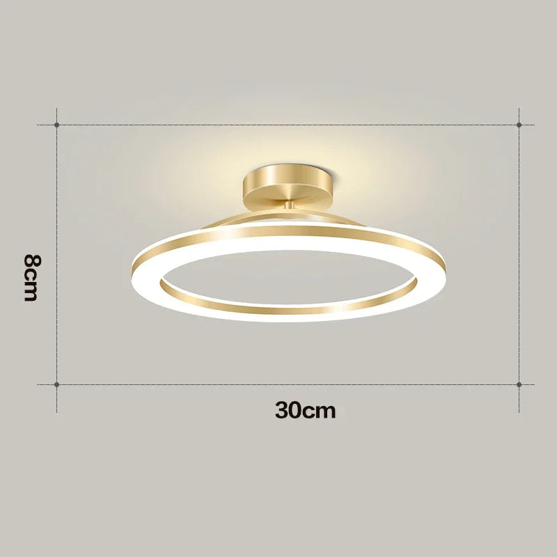 Modern Round Indoor Ceiling Lamp