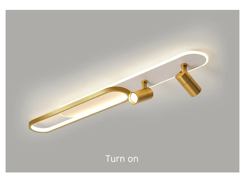 Ceiling Light with Adjustable Spotlights