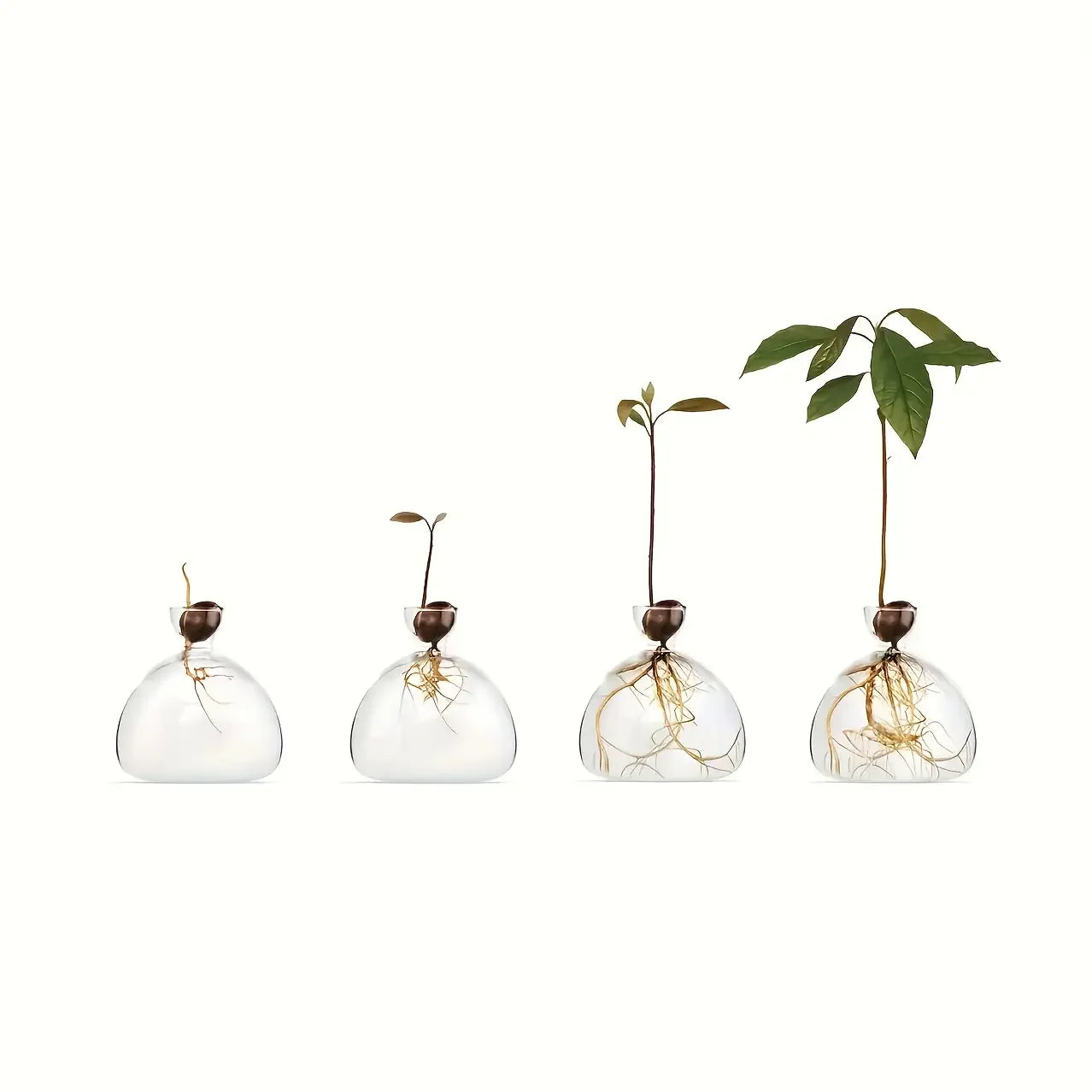 Glass Bulb Seed Starter Vase