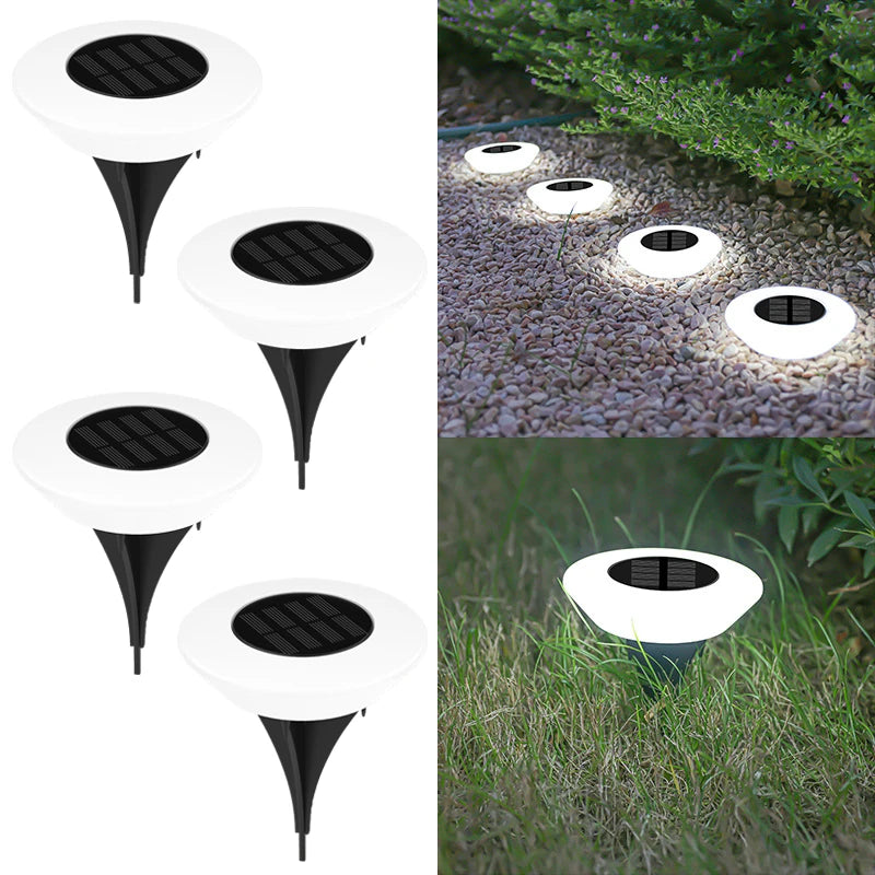 Solar Disk Pathway Lights
