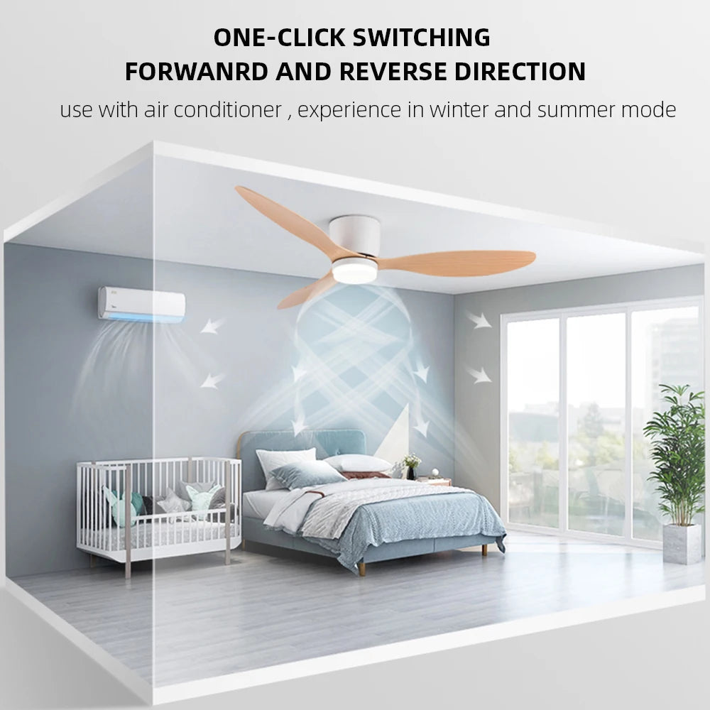 Large DC Motor Ceiling Fan