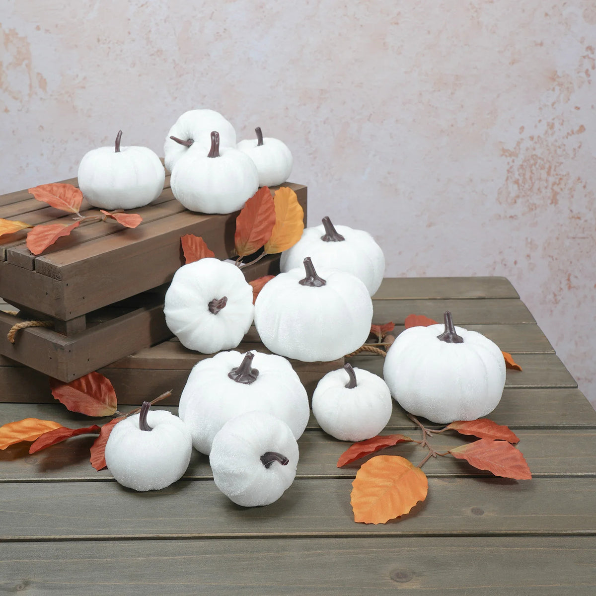White Velvet Pumpkins, Set of 6
