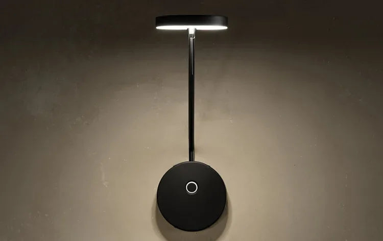Designer Creative Long Pole Flexible Wall Lamp Black Wall Lamp with