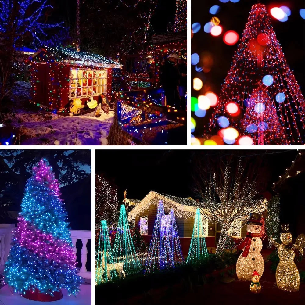 Bluetooth RGBIC Color Fairy String Lights