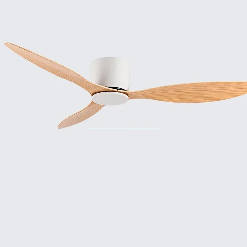 Quiet DC Motor Ceiling Fan