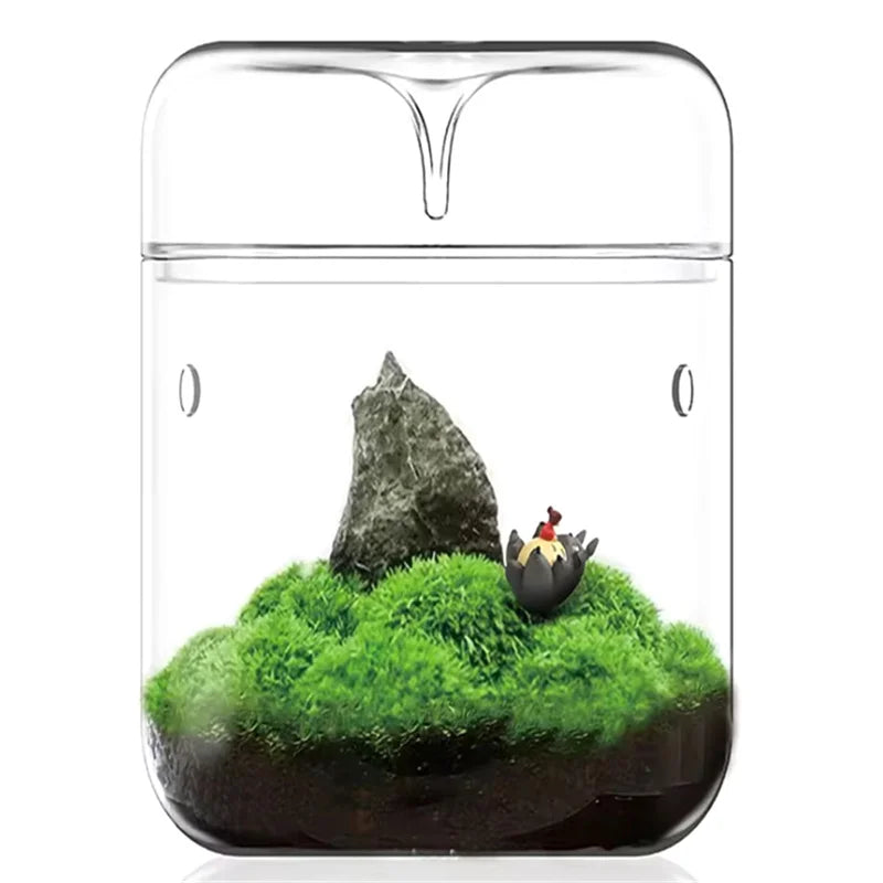 Glass Terrarium Bottle Vase