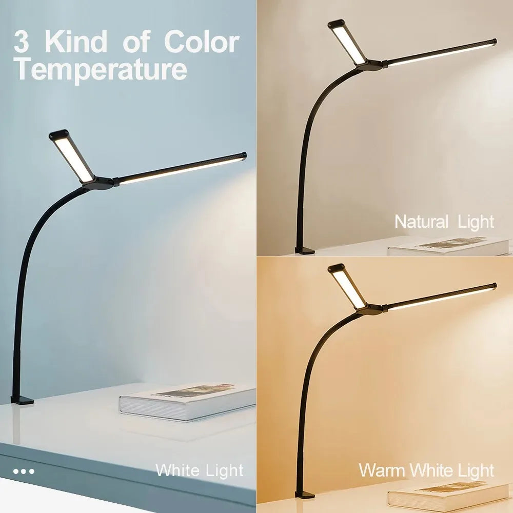 Architect Gooseneck Desk Lamp