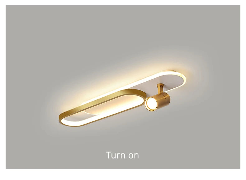 Ceiling Light with Adjustable Spotlights
