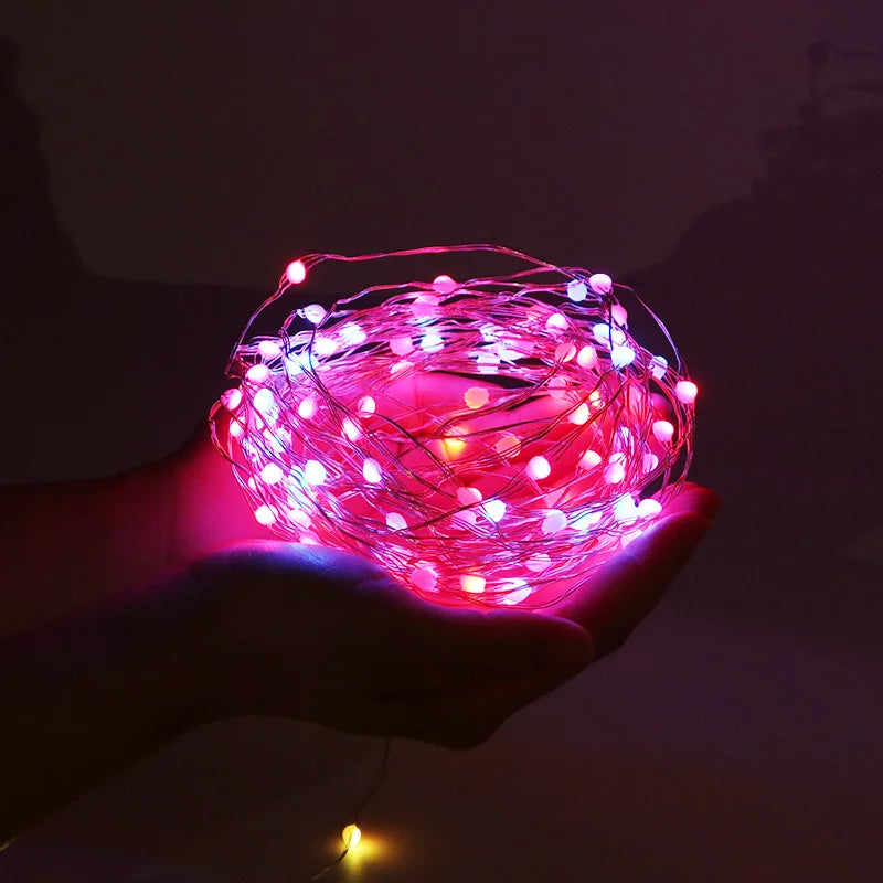 Bluetooth RGBIC Dreamcolor Fairy Lights