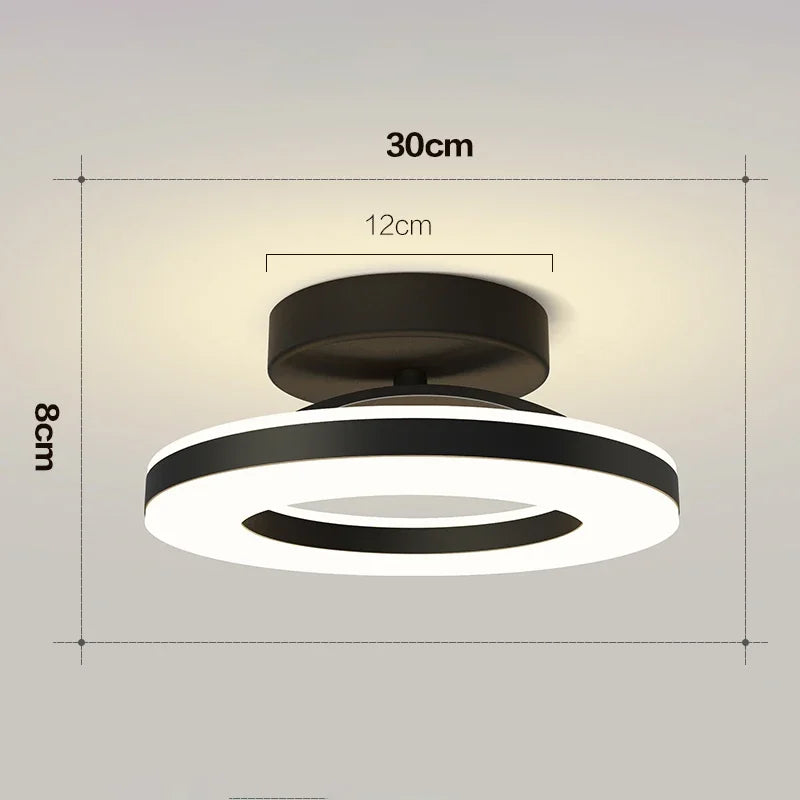 Modern Round Indoor Ceiling Lamp