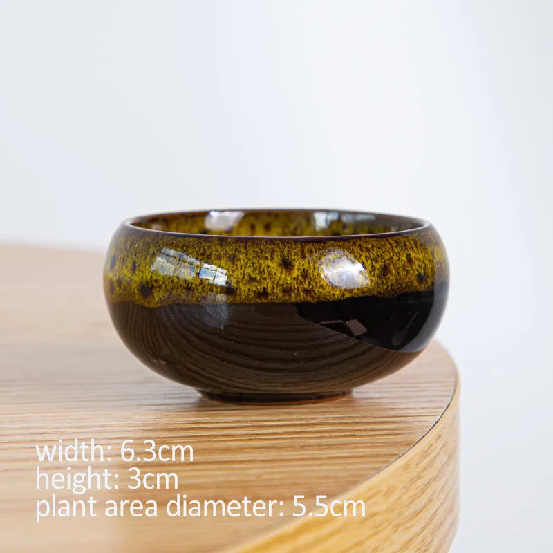 Mini Ceramic Bonsai Pots Set of 6