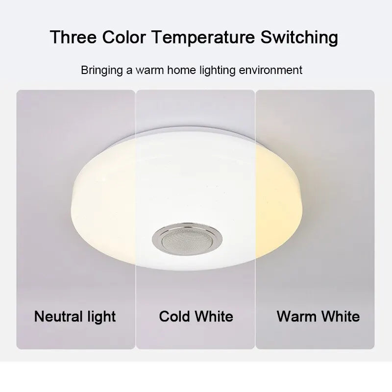 Smart RGB Bluetooth Music Ceiling Light