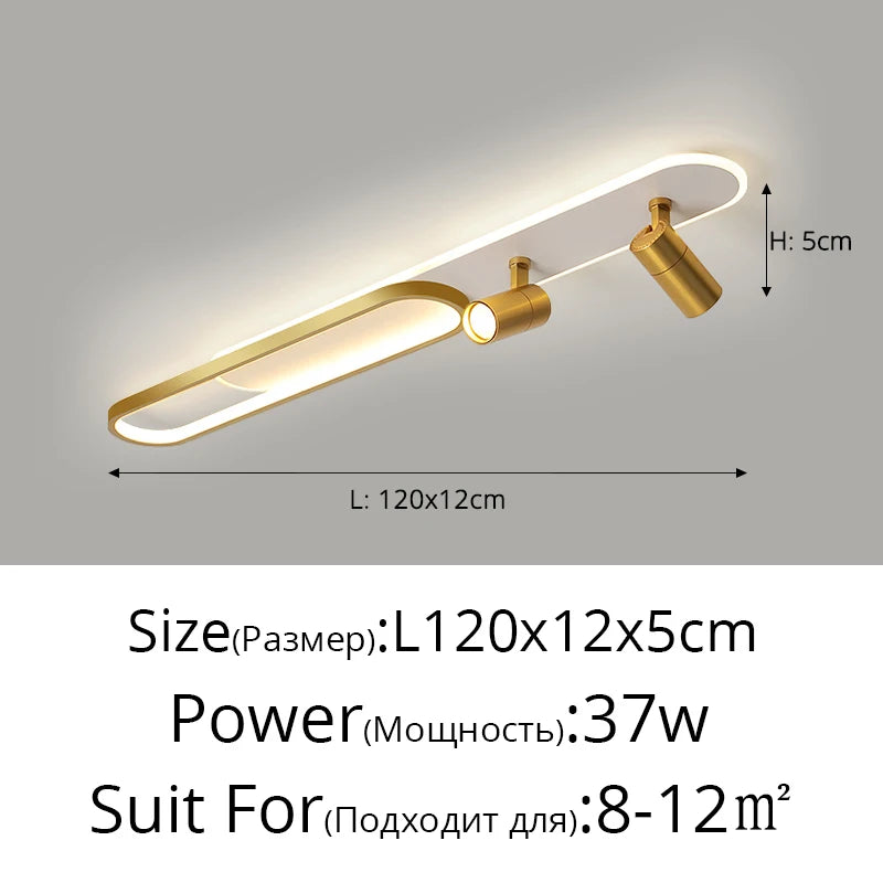 Ceiling Light with Adjustable Spotlights