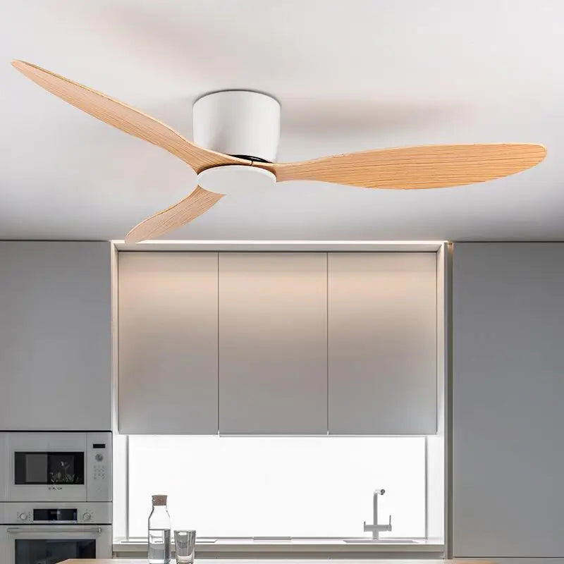 Quiet DC Motor Ceiling Fan