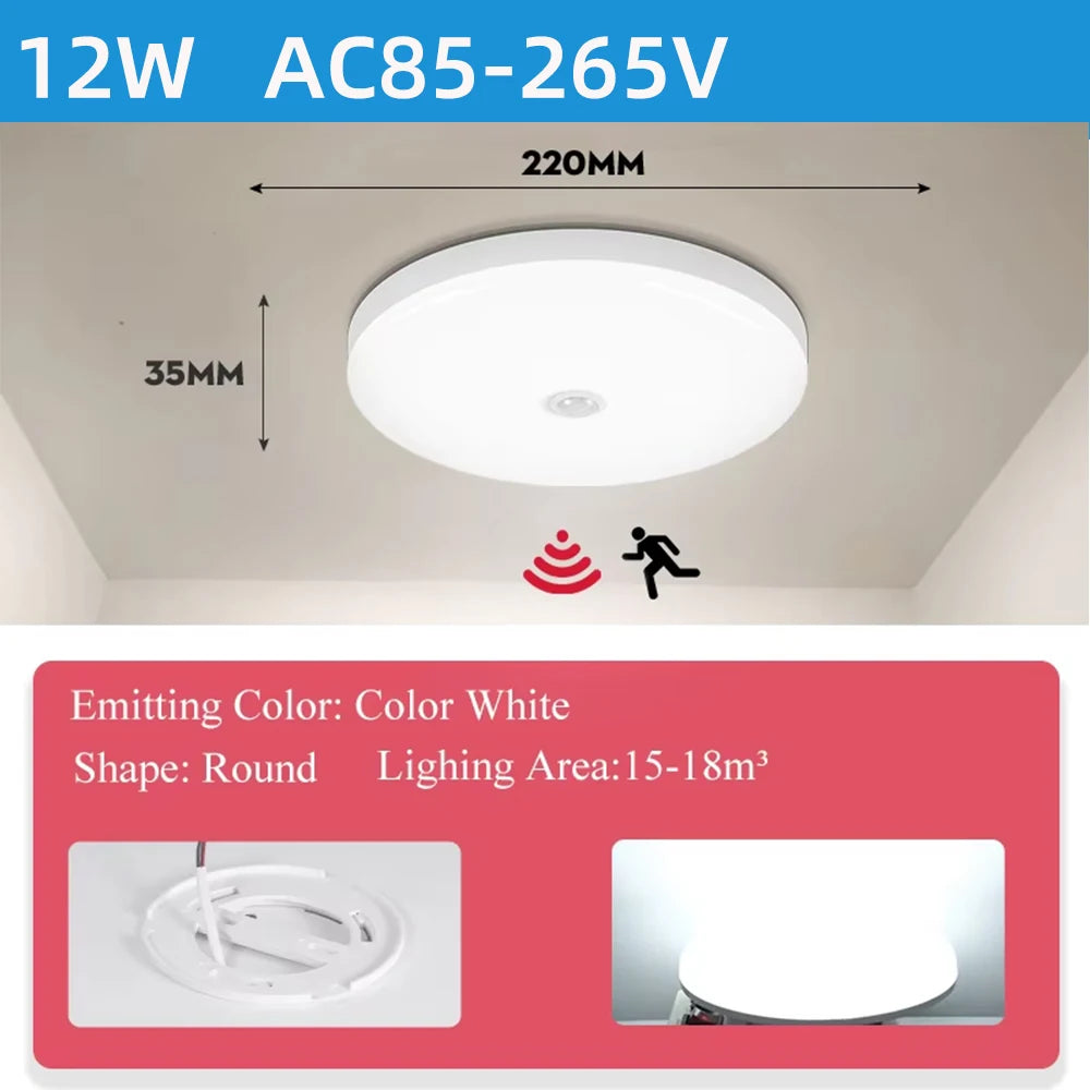 Body Sensor LED Ceiling Light