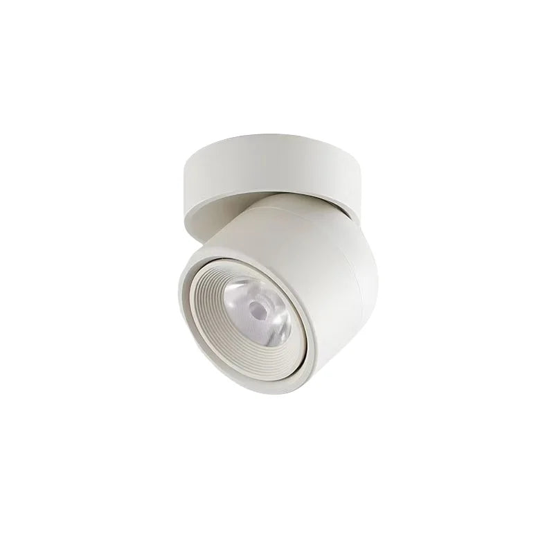 Rotatable Anti Glare Surface Mount Spotlight