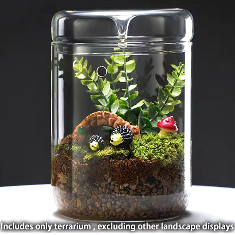 Glass Terrarium Bottle Vase