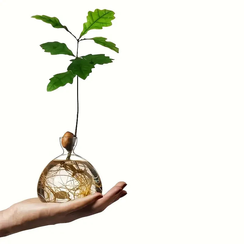 Glass Bulb Seed Starter Vase