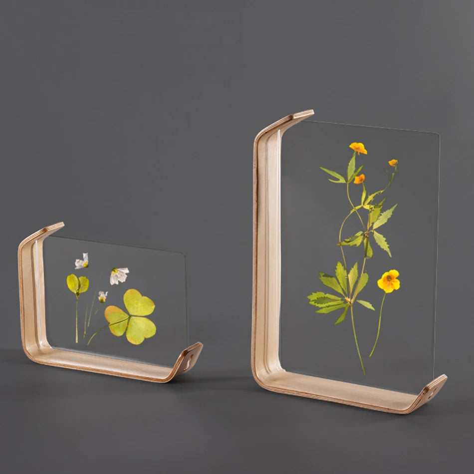 Bent Wood And Acrylic Photo Frame