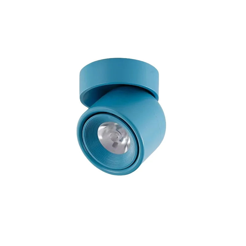 Rotatable Anti Glare Surface Mount Spotlight