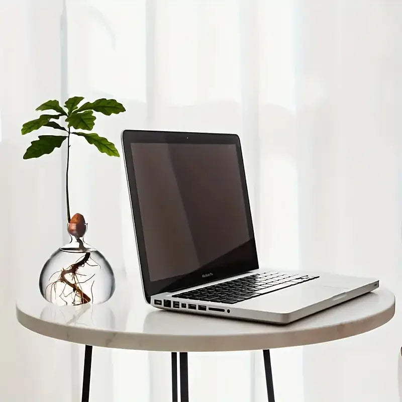 Glass Bulb Seed Starter Vase