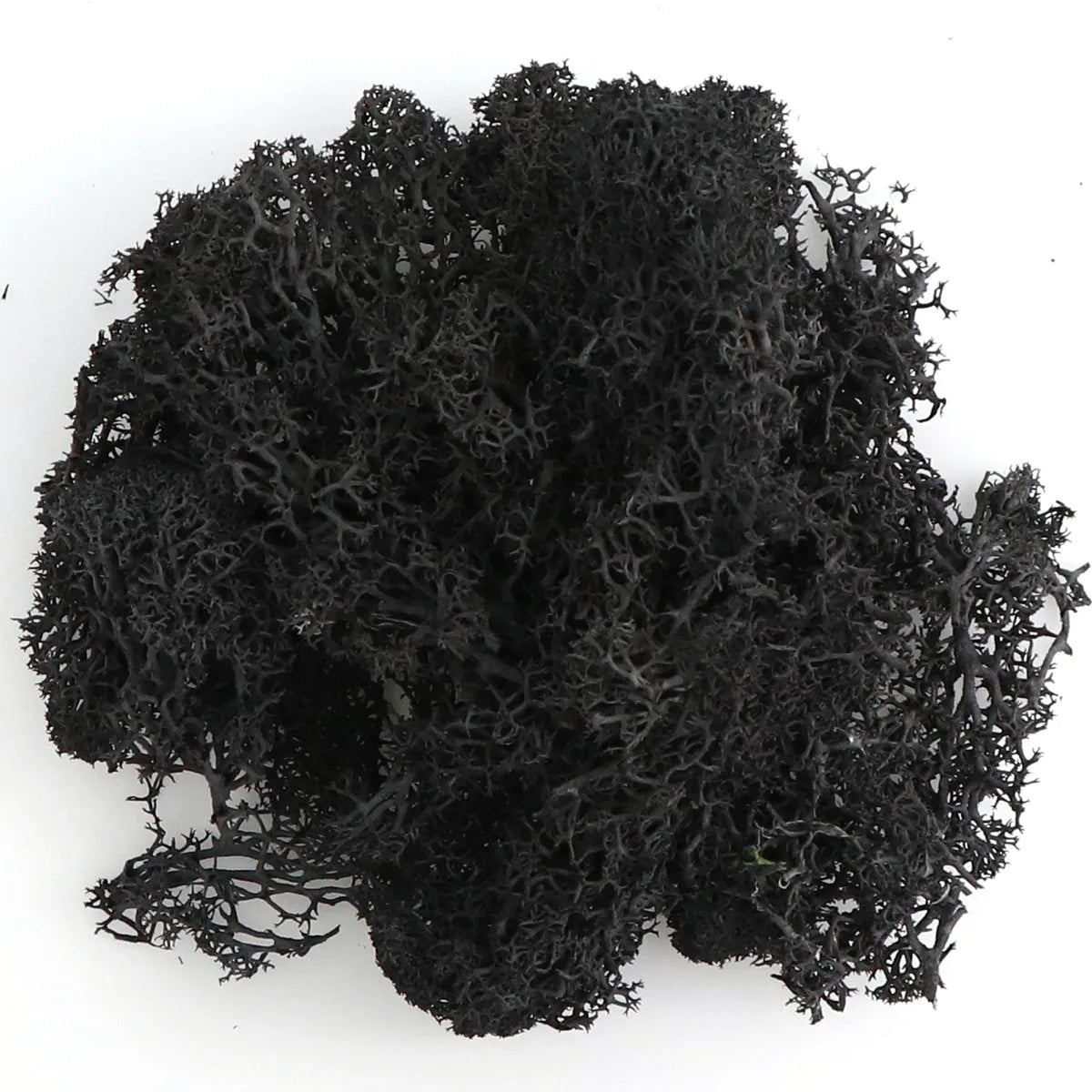 200g Artificial Green Plants Mini Landscape Eternal Life Moss
