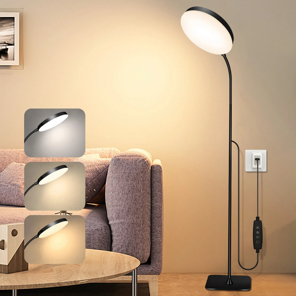Gooseneck Reading Floor Lamp