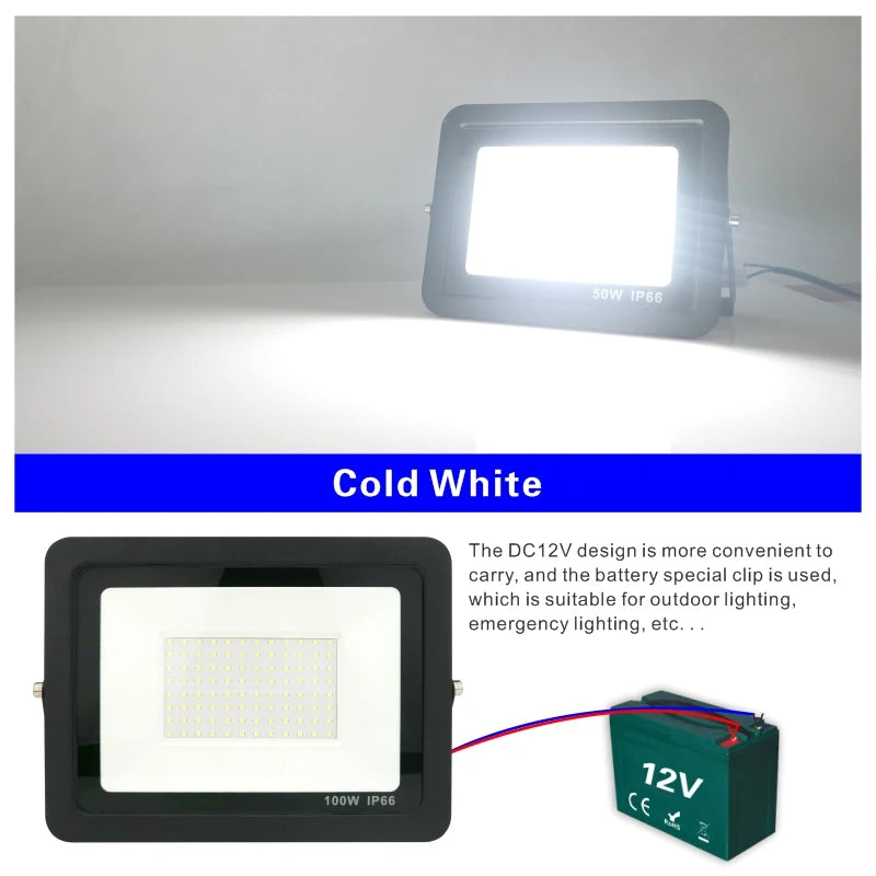 DC 12V Portable LED Flood Light