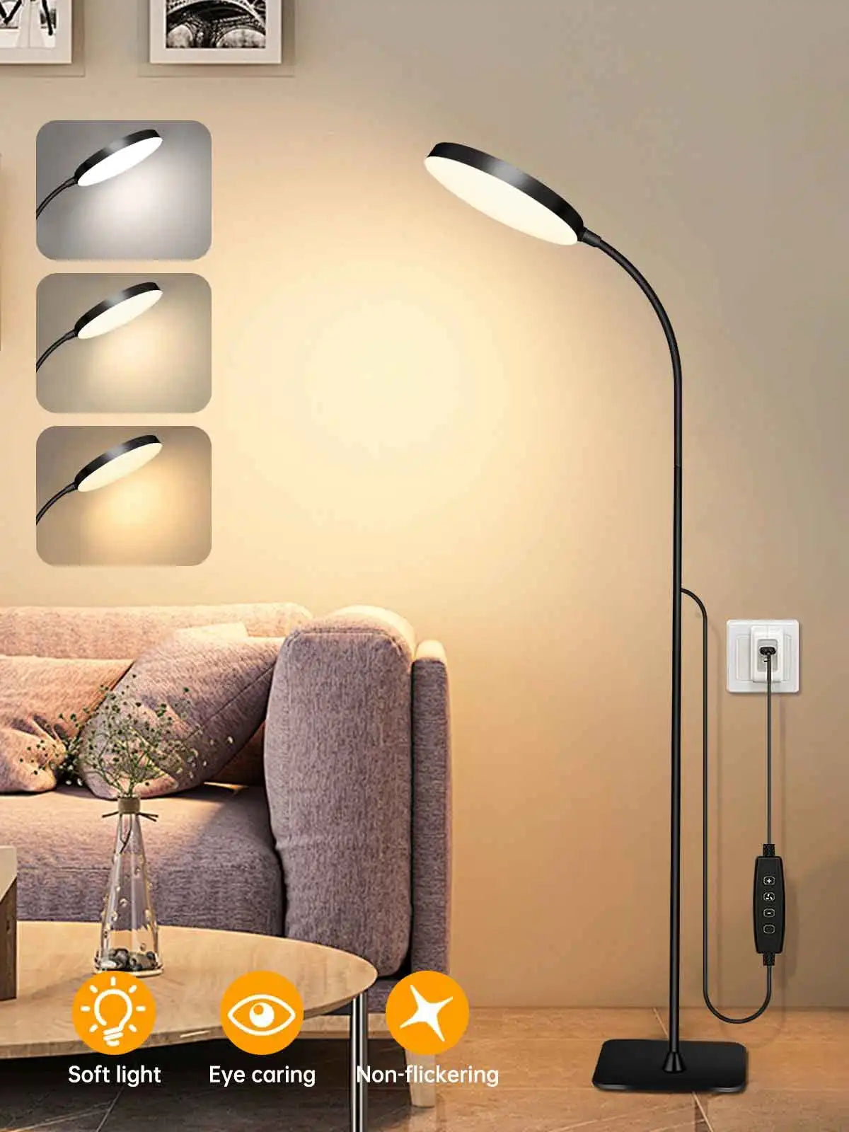 Gooseneck Reading Floor Lamp