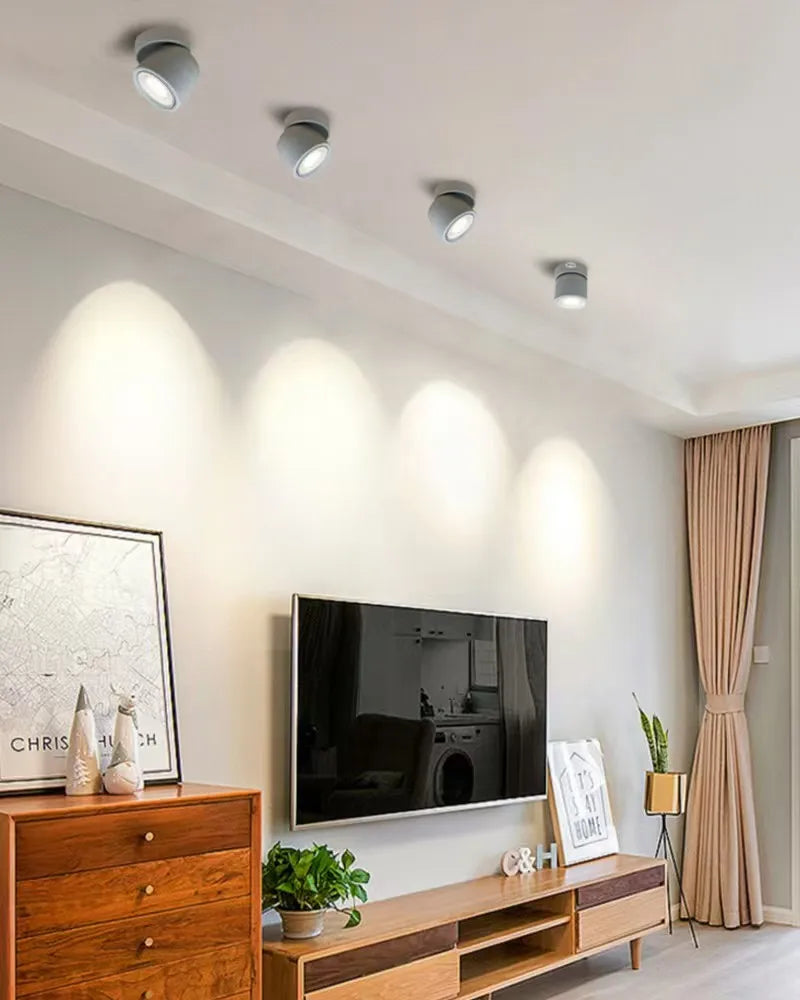 Rotatable Anti Glare Surface Mount Spotlight