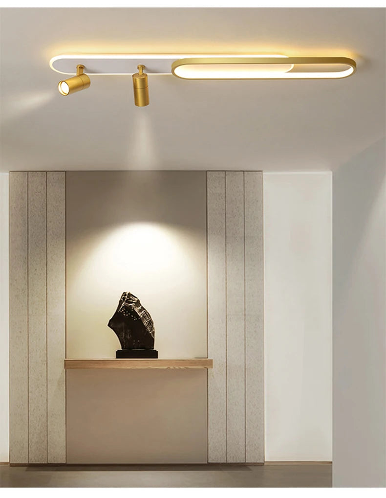 Ceiling Light with Adjustable Spotlights