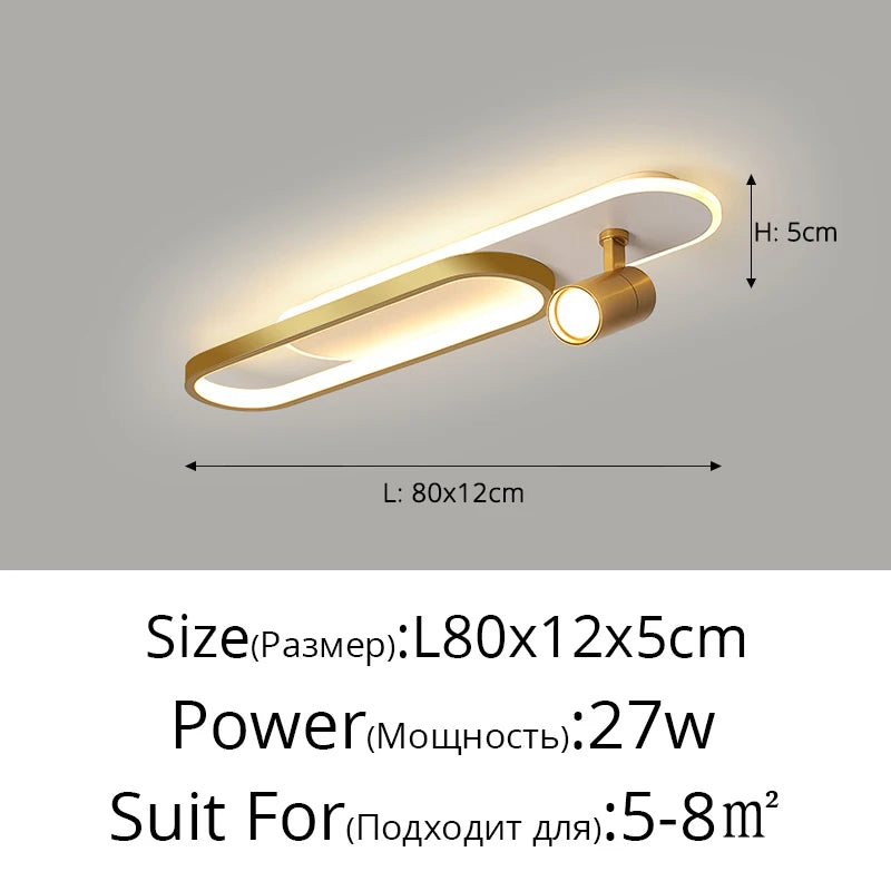 Ceiling Light with Adjustable Spotlights