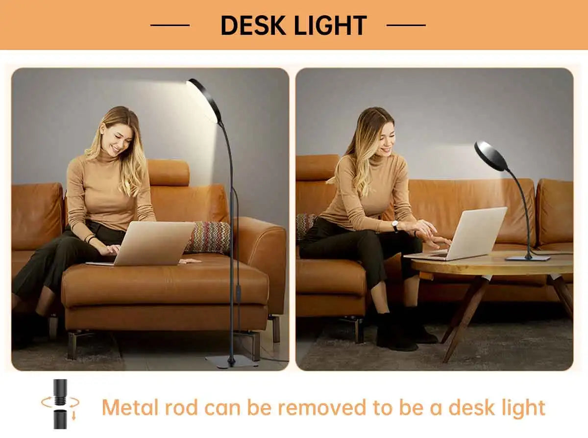 Gooseneck Reading Floor Lamp