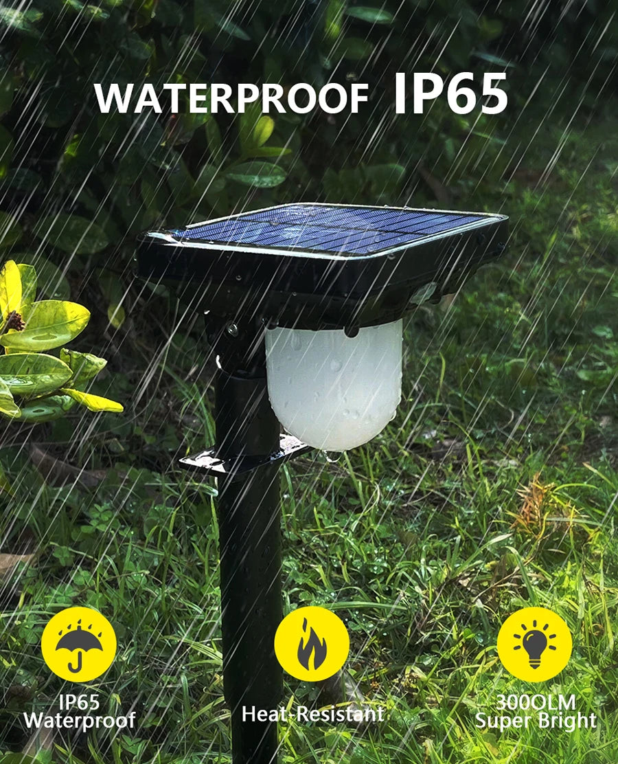 Solar Motion Sensor Pathway Lights