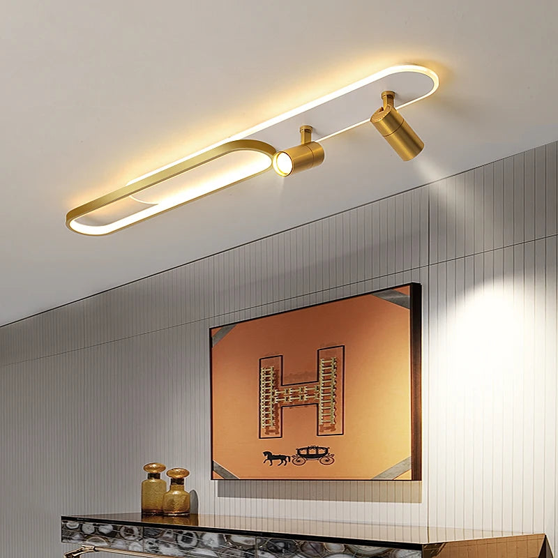 Ceiling Light with Adjustable Spotlights